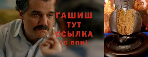 индика Абинск
