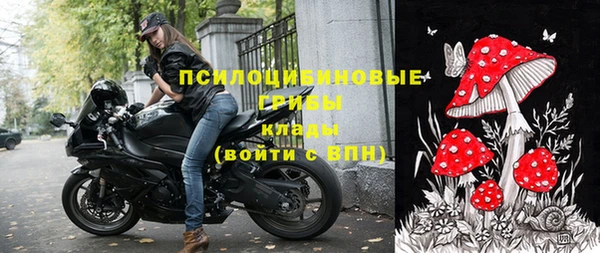 индика Абинск