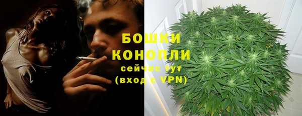 2c-b Абаза