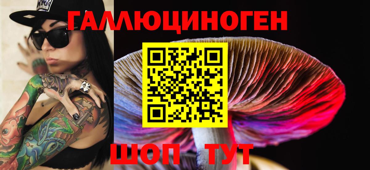 Новосибирск  Псилоцибиновые грибы Magic Shrooms  Вход с VPN 