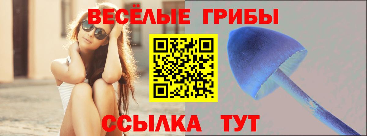 Галлюциногенные грибы Psilocybine cubensis Новосибирск