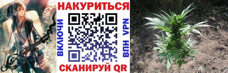 Бошки Шишки индика  купить закладку  Новосибирск 